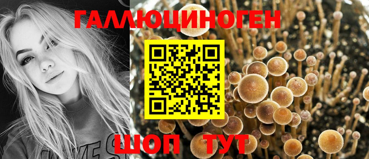 Псилоцибиновые грибы мухоморы  Вход с VPN  Галлюциногенные грибы MAGIC MUSHROOMS  Каменск-Шахтинский 