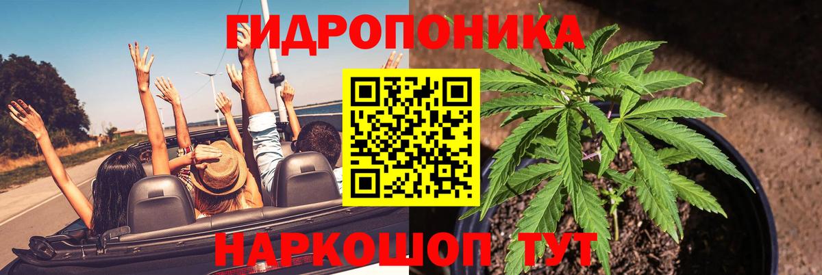 Каменск-Шахтинский  Бошки Шишки тримм  Бошки марихуана VHQ  Бошки Шишки планчик  Вход с VPN 